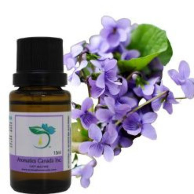 Violet Leaf Absolute Oil Profile Picture