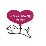 upandawaypups Profile Picture