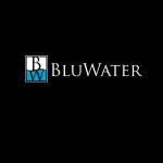 The BluWater Group Profile Picture