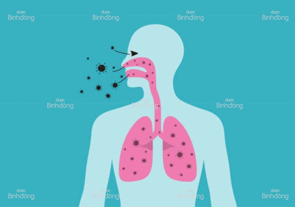 Phổi yếu cảnh báo bệnh gì? Biểu hiện, chẩn đoán, phòng ngừa, bồi bổ