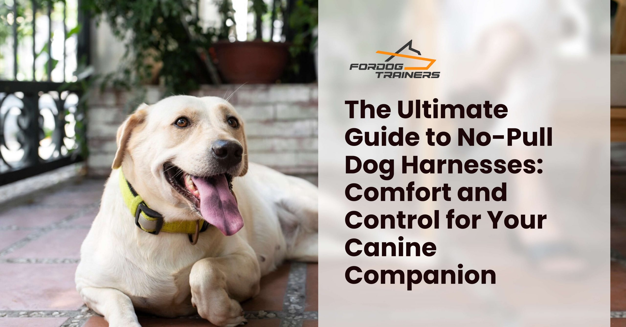 The Ultimate Guide to No-Pull Dog Harnesses: Comfort and Control for Your Canine Companion - ForDogTrainers Blog