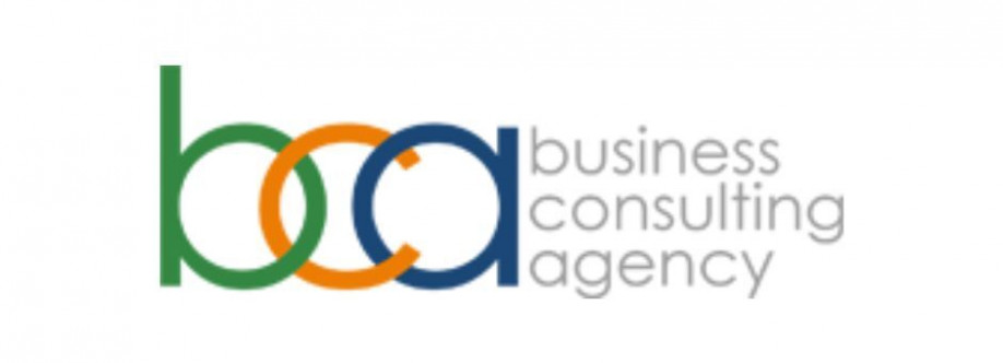 Business Consulting Agency Cover Image