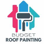 Budget Roof Painting Profile Picture