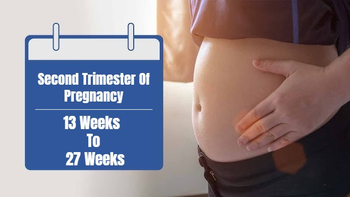 Second Trimester Of Pregnancy – 13 Weeks To 27 Weeks