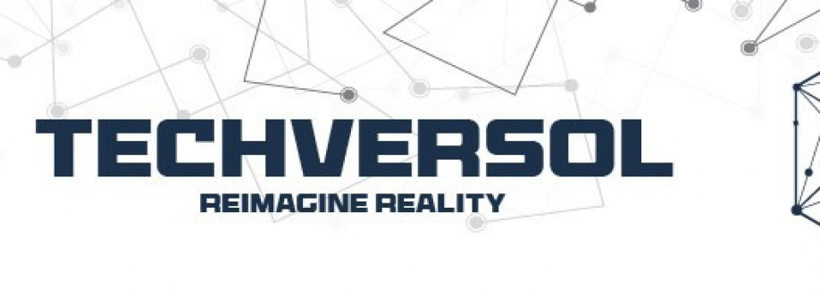 Techversol Inc Cover Image