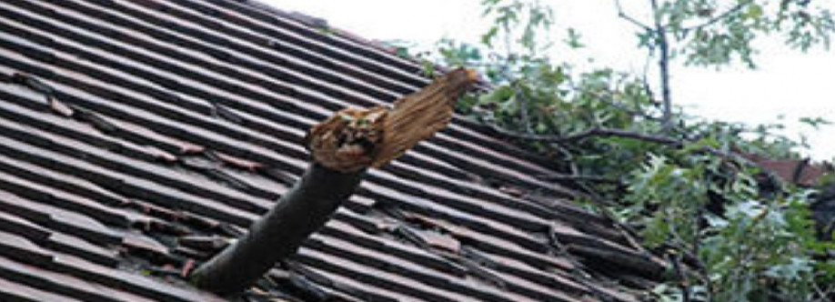 Rejuven8 roofing and restoration Cover Image