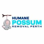 Humane Possum Removal Perth Profile Picture