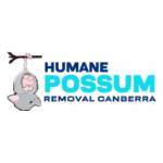 Humane Possum Removal Canberra Profile Picture