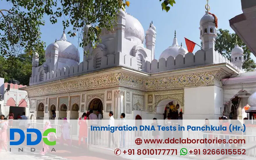 Immigration DNA Tests in Panipat, Haryana