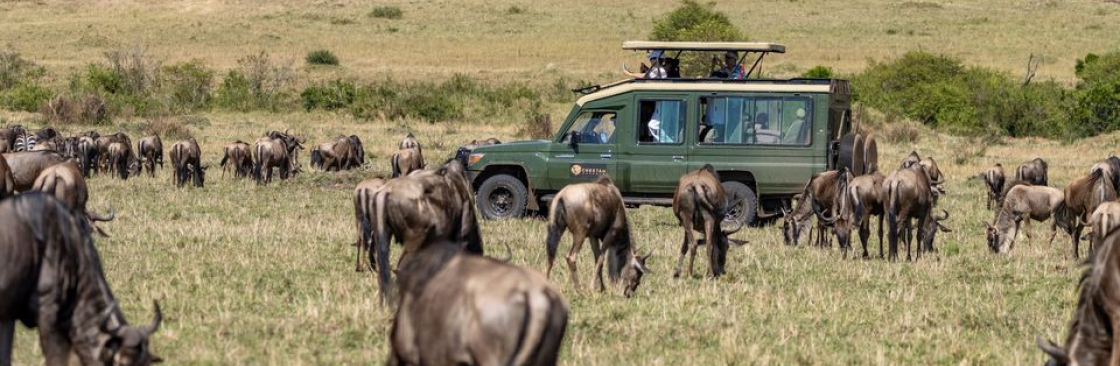 Cheetah Safaris Cover Image