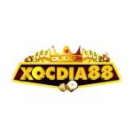 XOCDIA 88 Profile Picture