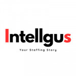 Intellgus Outsourced Accounting Company Profile Picture