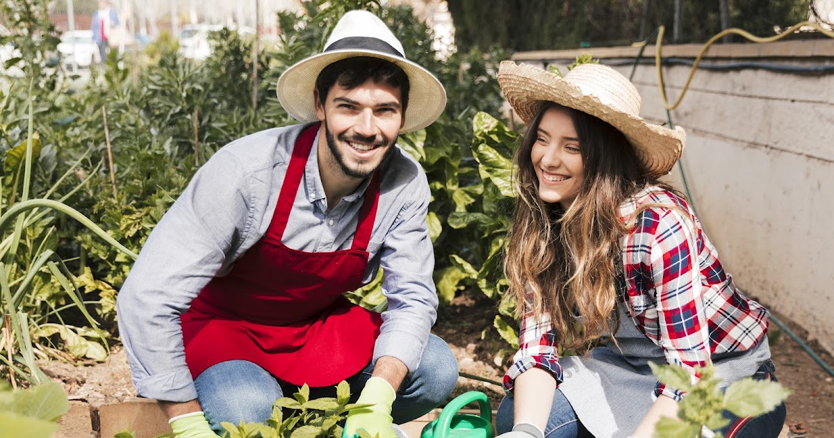 How Organic Fertilizers Enhance the Flavor of Home-Grown Vegetables