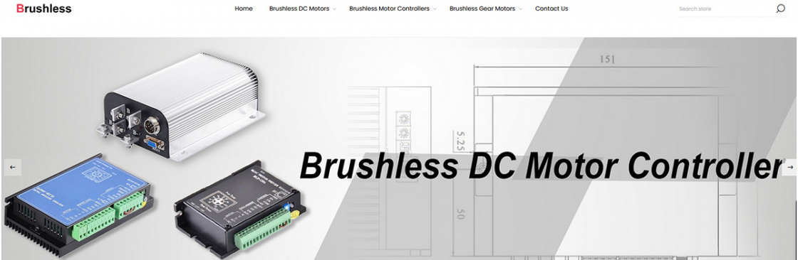 Brushless DC Motors Controllers Cover Image