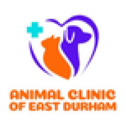 Animal Clinic Of East Durham Profile Picture