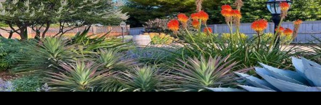 Taylors Landscape Design Cover Image