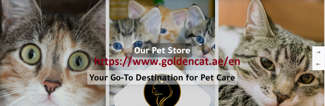 Golden cat Cover Image