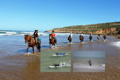 Stage de surf à Essaouira