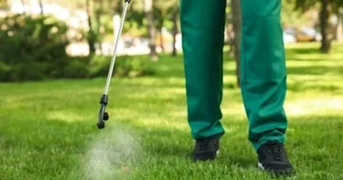 How Does Pet-Friendly Lawn Insect Control Differ from Traditional Methods?