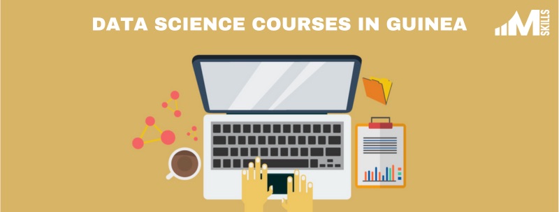 Top 10 Data Science Courses In Guinea In 2024 With Placements