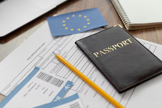 The Top Benefits of Using Professional Schengen Visa Services