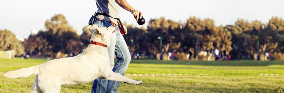 Eastern Companion Dog Training Cover Image