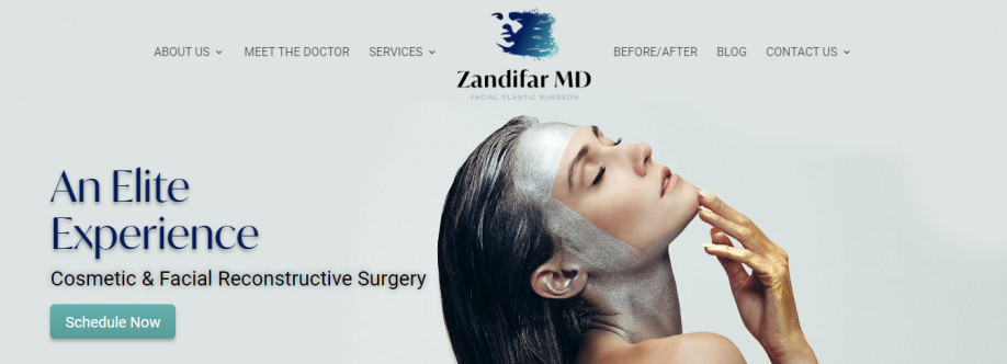 Zandifar MD Cover Image