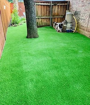 5 Mistakes to Avoid When Buying Pet-Friendly Synthetic Turf | by North Texas Turf | Dec, 2024 | Medium