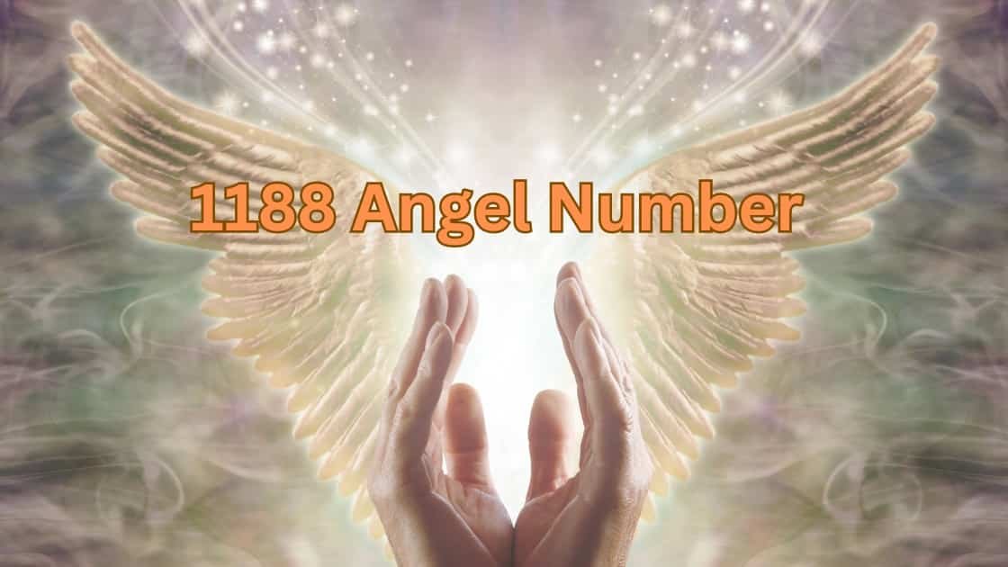 1188 Angel Number: How it influences your daily life? - Angel Number