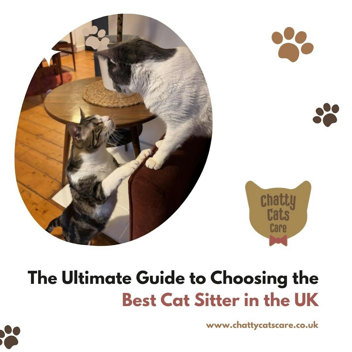 The Ultimate Guide to Choosing the Best Cat Sitter in the UK