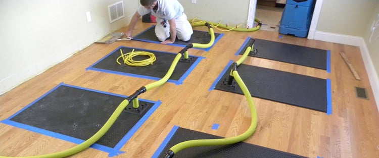 Thorough flooded carpet cleaning with state-of-the-art types of equipment - Professional Community Article By Capital Facility Services