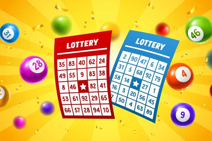 Lottery Sambad: How it Works? Today Result and Schedule | Lottery results, Online lottery, Lottery